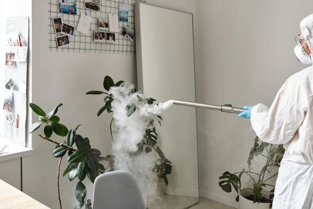 Décontamination à reims