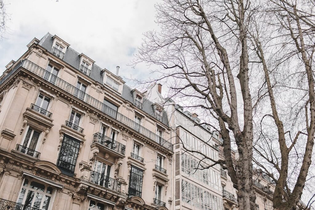 rénovation immeuble reims